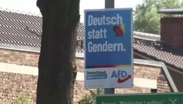 AfD